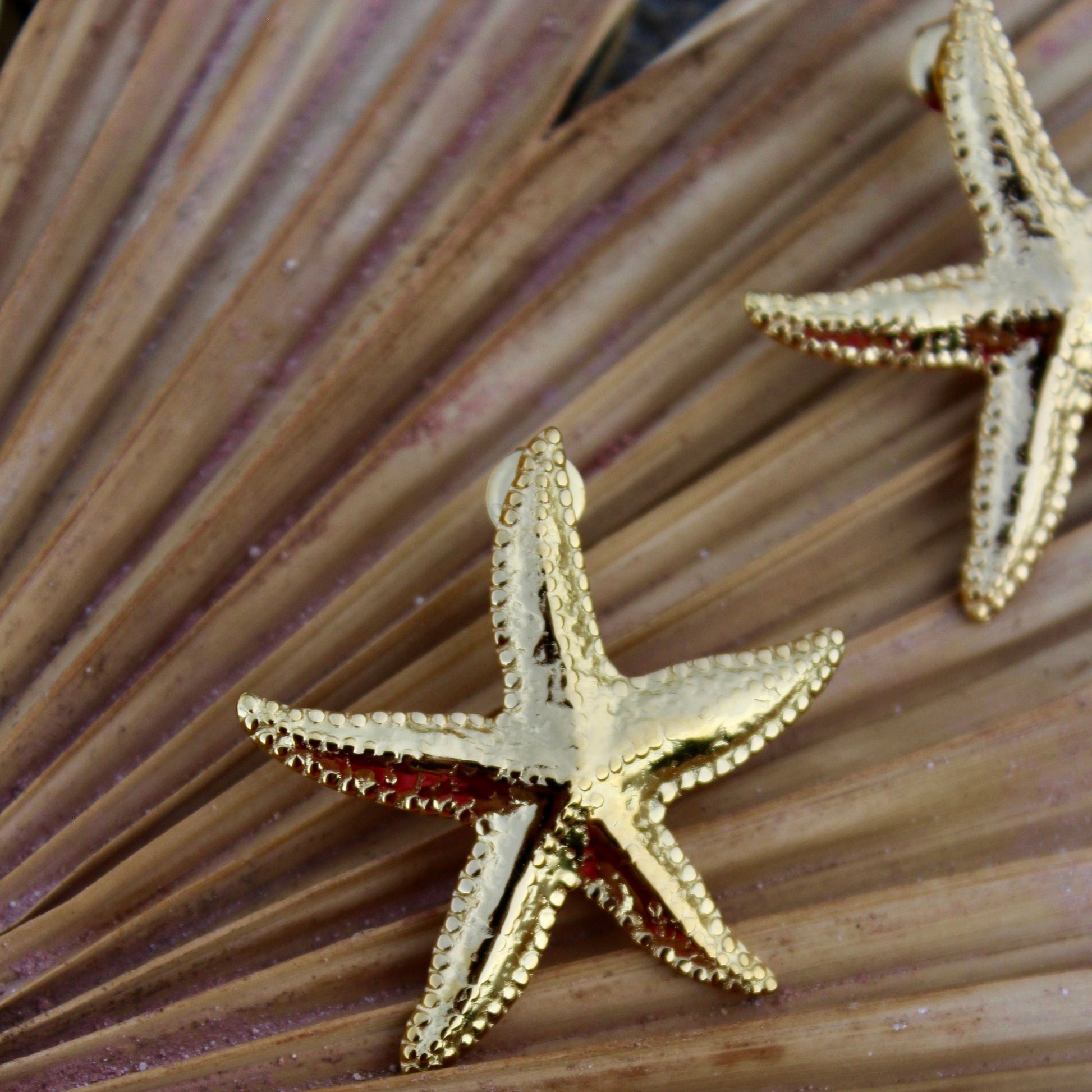 textured gold plated starfish earrings summer beach beachy trendy stylish ocean sea style